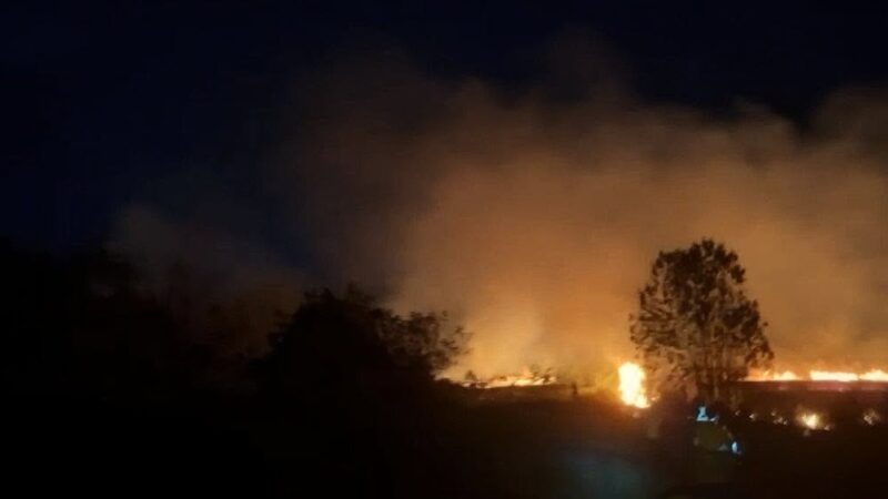 Organismos de socorro refuerzan vigilancia ante el riesgo de incendios forestales en los municipios de Santander