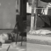 Dos homicidios en pocas horas vuelven a encender el debate sobre la seguridad en Barrancabermeja