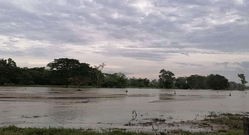 Altas temperaturas ponen en alerta a Santander: disminuyen los caudales de los principales ríos