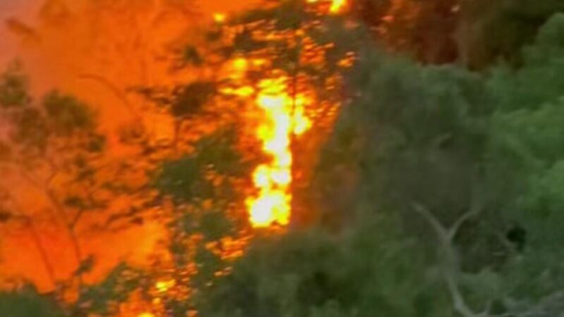 Santander enfrenta un preocupante panorama de incendios forestales, varios Municipios luchan contra las llamas